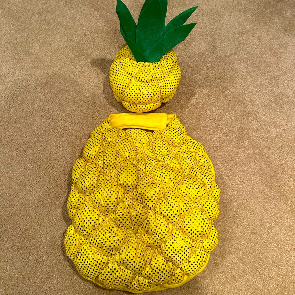 Size Large Dog costume